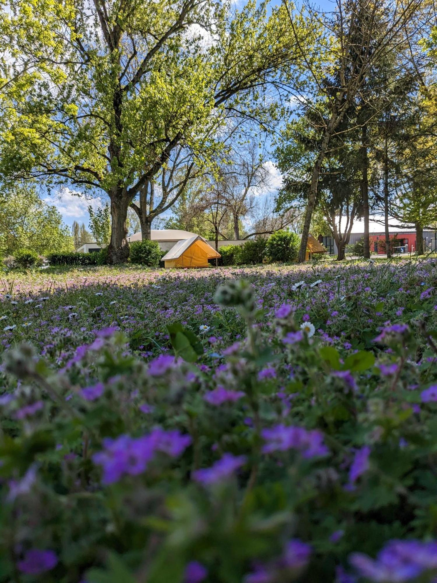 Camping Onlycamp Tours Val De Loire Saint-Avertin Eksteriør bilde